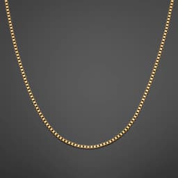 Minimal Box Chain - Gold RG196